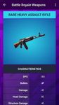 Armes de Battle Royale - Toutes les statistiques image 3