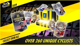 Tour de France 2019 Official Game - Sports Manager afbeelding 23