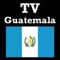 TV Guatemala apk icono