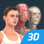 Ícone do apk Corpo humano (mulher) 3D educacional RV
