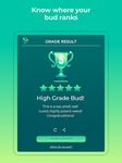 HiGrade - Mobile Cannabis Testing screenshot APK 2