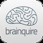Icona Brainquire