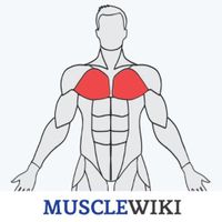 Icône apk MuscleWiki Fitness