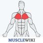 MuscleWiki Fitness apk icono