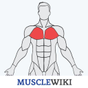 Ikon apk MuscleWiki Fitness