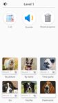 39/5000 犬のクイズ - 写真の中のすべての犬の品種を推測する のスクリーンショットapk 4
