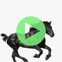 Music Old Town Road - OFFLINE APK