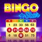 Bingo Star - Bingo Games