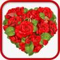 WAStickerApps Roses APK icon