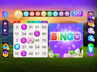 Bingo Relax afbeelding 6