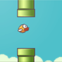 Sloppy Bird APK