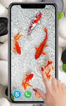Gambar KOI Fish Live Wallpaper: Wallpaper ikan baru 2019 5