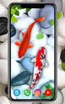 Gambar KOI Fish Live Wallpaper: Wallpaper ikan baru 2019 14