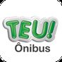 TEU Ônibus