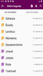 Captura de tela do apk Bíblia Sagrada - livre 