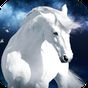 Horse Wallpaper apk icon