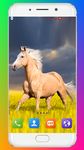 Horse Wallpaper ảnh số 3