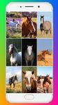 Horse Wallpaper ảnh số 15