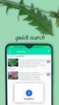 Wiki-Plantes médicinales capture d'écran apk 2