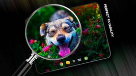 Screenshot 8 di Sfondi di animali apk