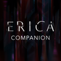 Иконка Erica™ для PS4™