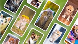 Cat Wallpapers & Kitten Backgrounds Screenshot APK 2