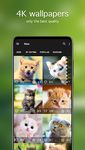 Cat Wallpapers & Kitten Backgrounds Screenshot APK 4