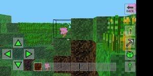 Imagem 1 do Minicraft