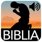 Biblia en audio