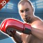 리얼 펀치 복싱 챔피언스 3D : MMA 파이팅 2k18의 apk 아이콘