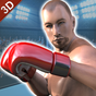 리얼 펀치 복싱 챔피언스 3D : MMA 파이팅 2k18의 apk 아이콘
