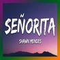 Icône apk Lagu Senorita Mp3 Offline