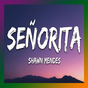 Lagu Senorita Mp3 Offline APK