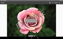 Colorize Images ekran görüntüsü APK 1