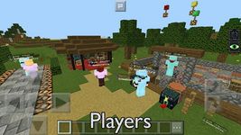 Captură de ecran Servers for Minecraft PE Tools apk 5