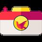 Phoenix Camera APK Simgesi