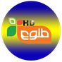 Tolo TV APK