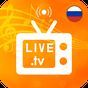 Россия ТВ онлайн и FM-радио APK
