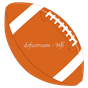 NFL Live Streaming Free apk icon