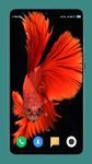 Betta Fish Wallpaper 4K zrzut z ekranu apk 11