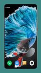 Betta Fish Wallpaper 4K zrzut z ekranu apk 