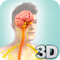 Icono de Nervous System Anatomy Pro.