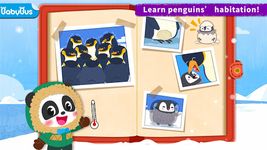Gambar Penguin Lari Panda Kecil 3