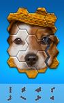 Captura de tela do apk Hexágonos Hexa Jigsaw Puzzle 13