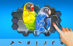 Hexa Jigsaw Puzzle™ screenshot apk 8