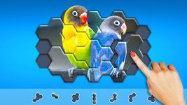 Hexa Jigsaw Puzzle™ screenshot APK 21