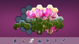 Hexa Jigsaw Puzzle ™ capture d'écran apk 20