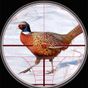 Icona Pheasant Bird Hunting: Wings Sniper Shooting 2018