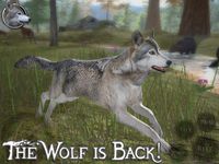 Ultimate Wolf Simulator 2 zrzut z ekranu apk 4