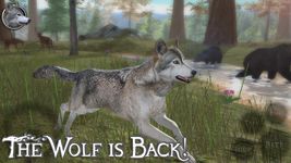 Ultimate Wolf Simulator 2 στιγμιότυπο apk 14